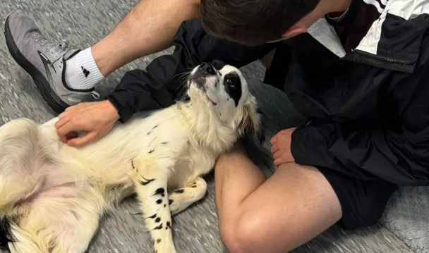 Essex Bank 2024 donation recipient Valley Shore Animal Welfare League